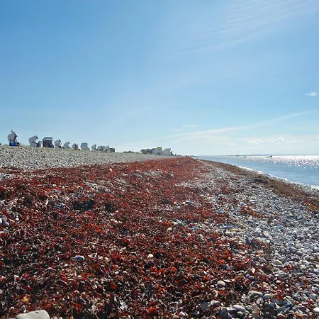 Exclusives Auf Fehmarn