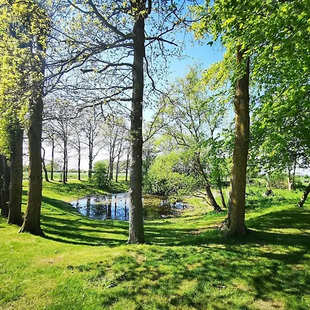 Exclusives Auf Fehmarn